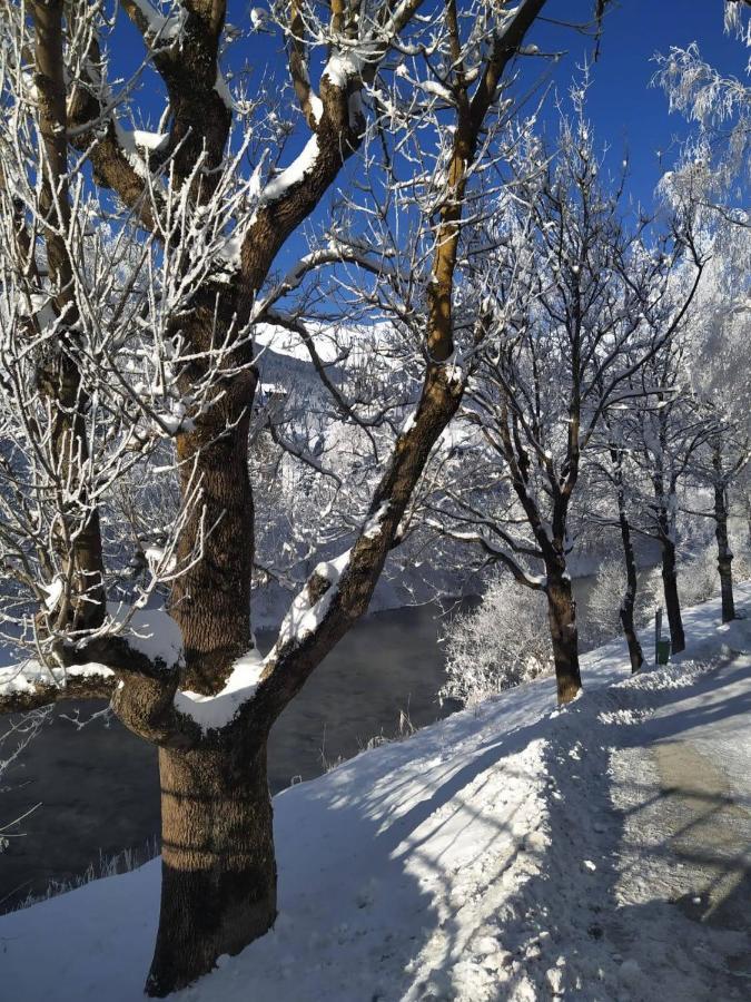 Alpenblick Apartment Gastein - Inklusive Eintritt Alpentherme Bad Hofgastein Dış mekan fotoğraf